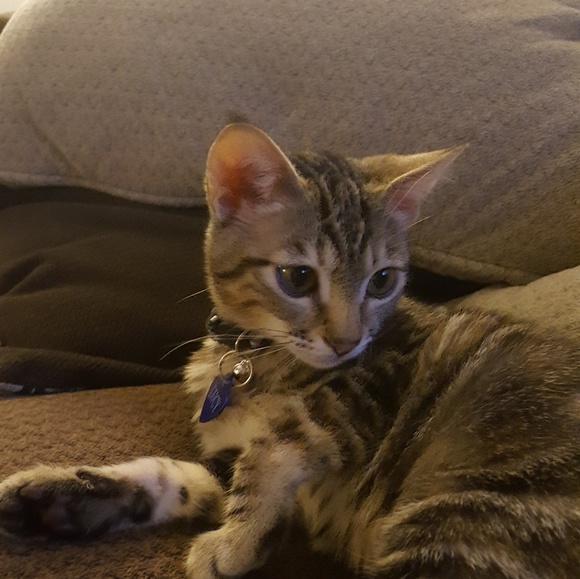 Meet your Posher, Brooke - Picture 1 of 1